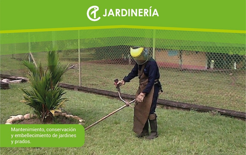 SERVICIOS 07
